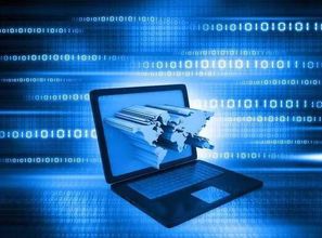 窺國(guó)內(nèi)IT生態(tài)體系 一花一世界，互聯(lián)網(wǎng)信息服務(wù)的無限可能